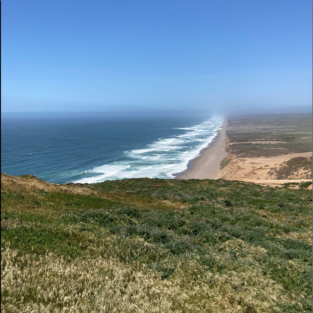 Meet your Posher, Raya